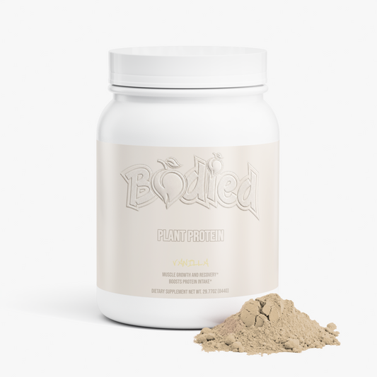 Plant Protein (Vanilla)